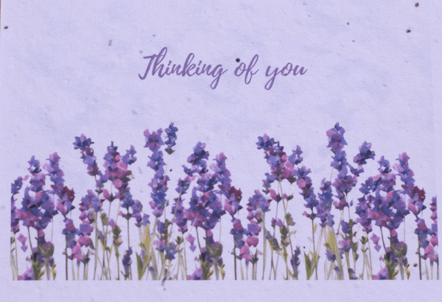 Plantable Thinking of You card with a Lavender design