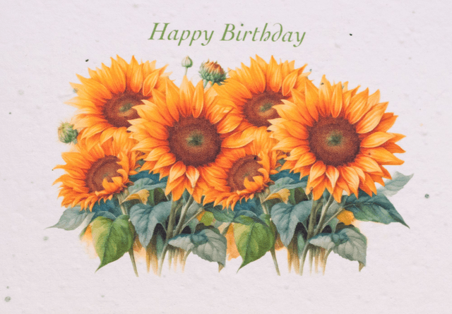 A Plantable Birthday card with Sunflowers on seeded paper.