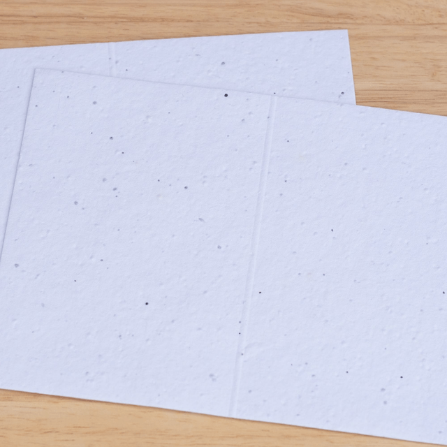 A Plantable Birthday card with a Butterfly on seeded paper with Wildflowers