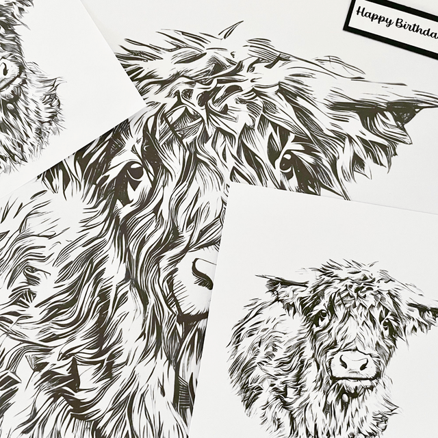 Highland Cow Birthday Card. Can be personalised. A digital sketch from my own photo. 