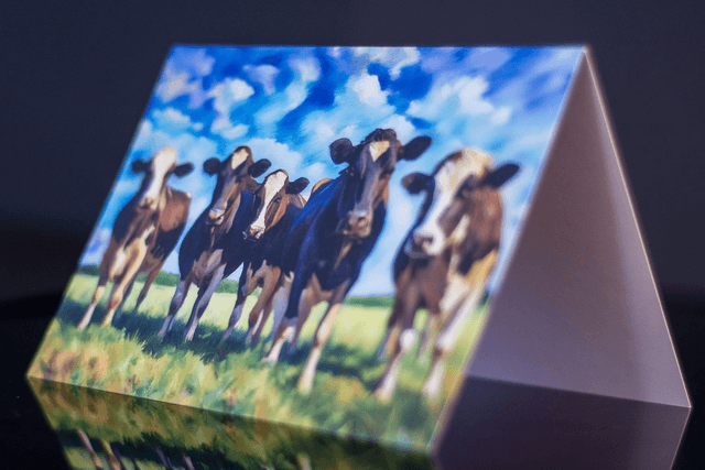 Friesian Cow Greetings card. Vibrant colour digital sketch from my own photo. 148mmx105mm.